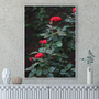 Quadro Rosas Vermelhas Por Cida Hoffmann