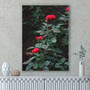 Quadro Rosas Vermelhas Por Cida Hoffmann