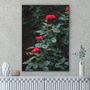 Quadro Rosas Vermelhas Por Cida Hoffmann