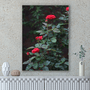 Quadro Rosas Vermelhas Por Cida Hoffmann