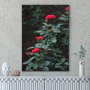 Quadro Rosas Vermelhas Por Cida Hoffmann