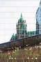 Quadro Tulipas no Primavera e Reflexo do Parlamento do Canadá Por Ivan Araújo
